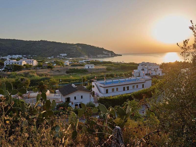B&B Ala Marina Peschici Εξωτερικό φωτογραφία